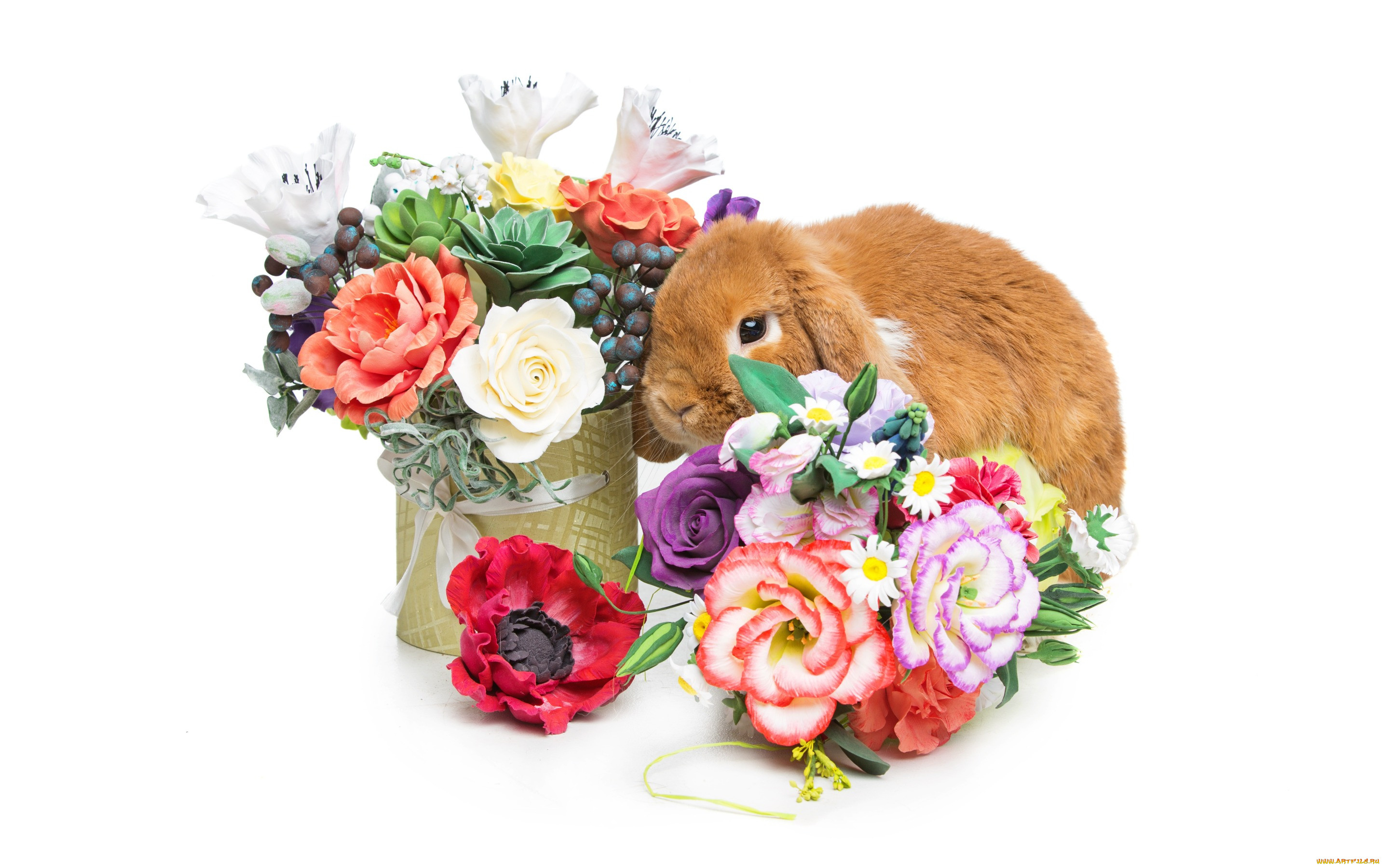 , ,  , , flowers, spring, eggs, , happy, rabbit